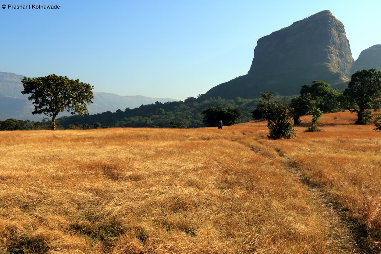 Kevani Plateau