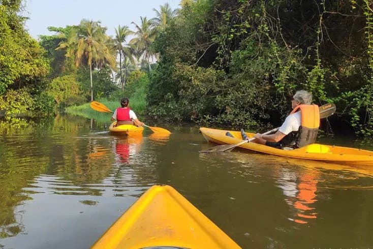 Aghanashini Mangrove & Backwater Kayaking