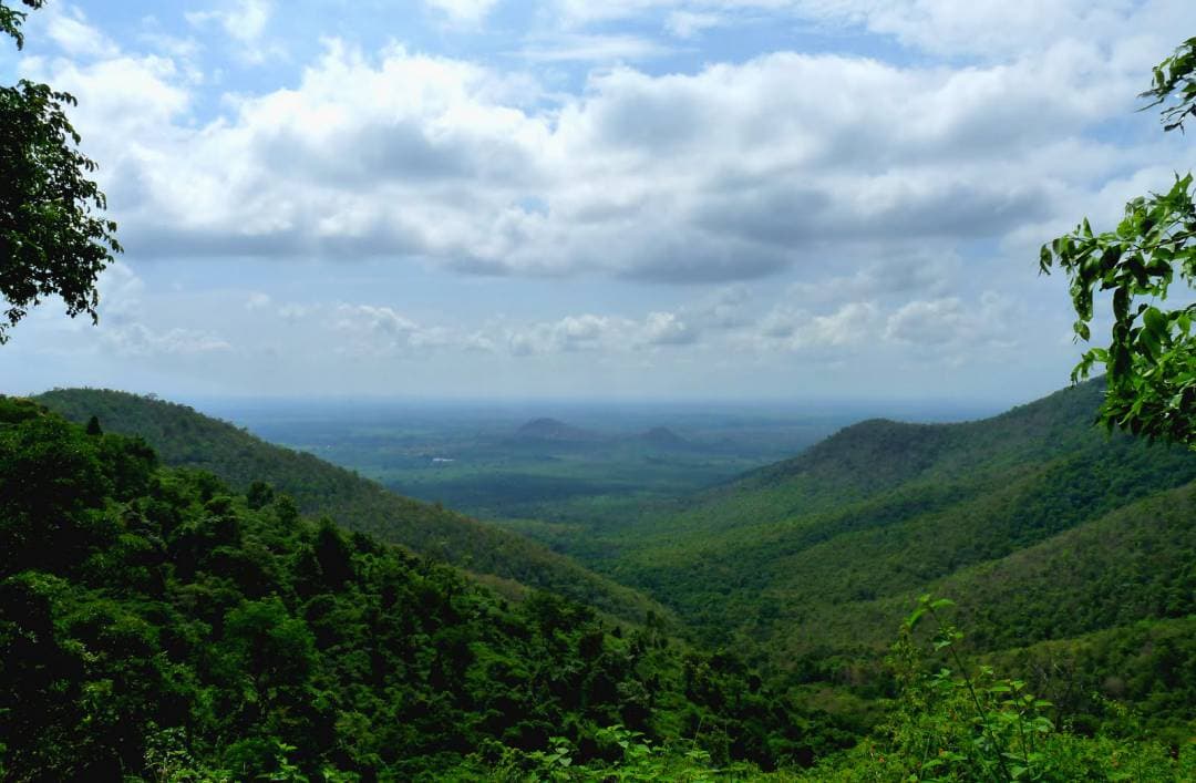 Biligiri Rangan Hills Nature Trails