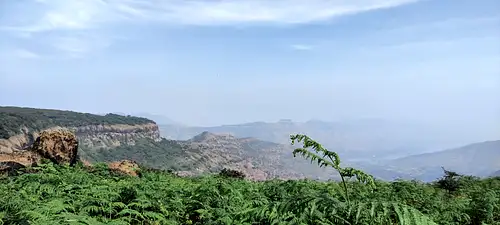 Koleshwar Plateau