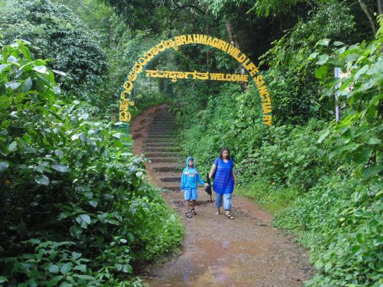 Brahmagiri Hills