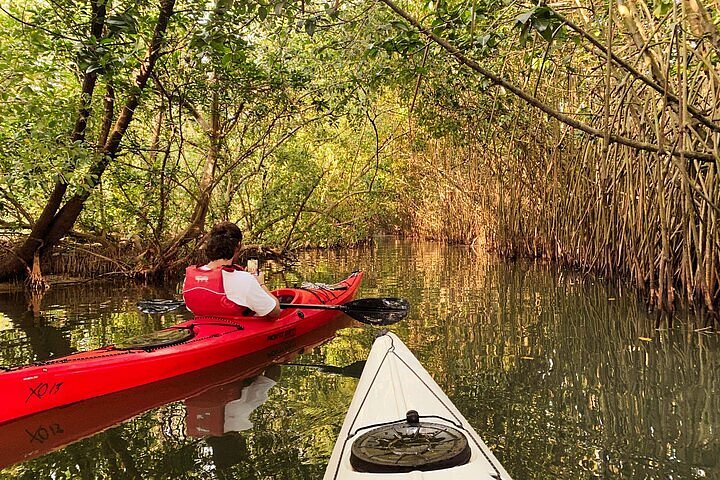 Aghanashini Mangrove & Backwater Kayaking