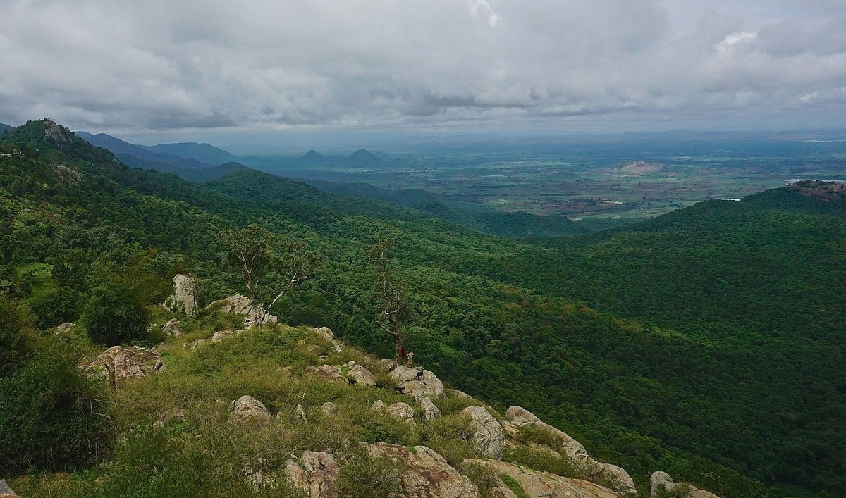 Biligiri Rangan Hills Nature Trails